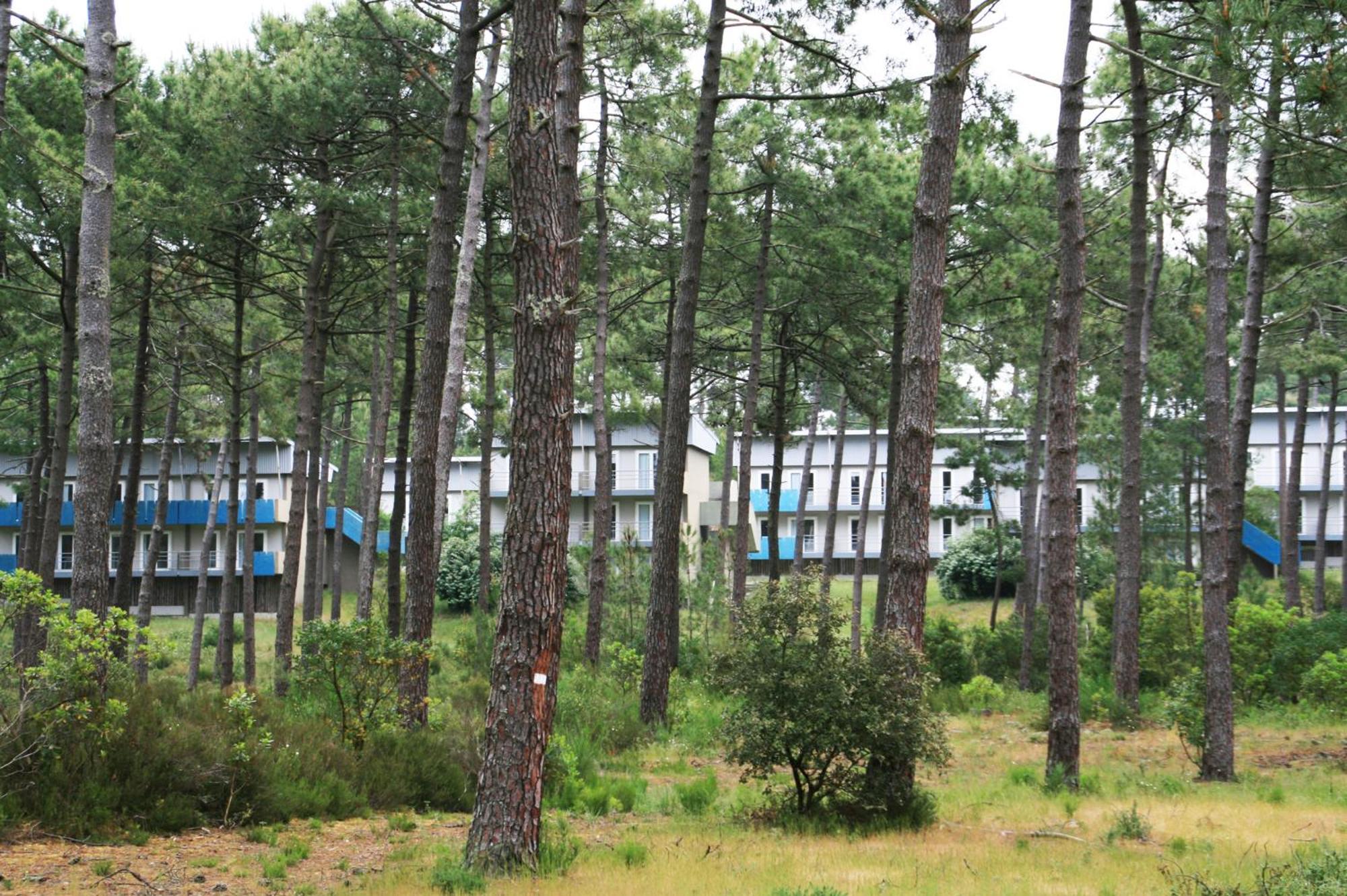 Village Vacances Les Dunes - Domaine De Bombannes カルカン エクステリア 写真
